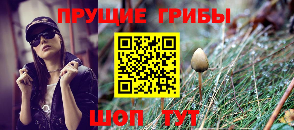 как найти закладки  Вход с VPN  Белогорск  Псилоцибиновые грибы прущие грибы 