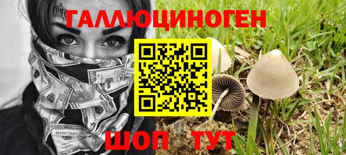 Галлюциногенные грибы Cubensis Белогорск